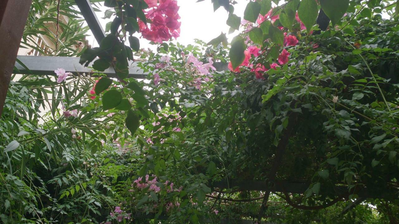 Madamme Curie Apartment ตอร์เรเวียคา ภายนอก รูปภาพ
